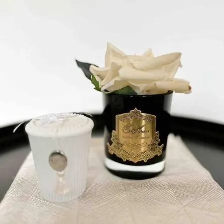 Le Bruna: 4 Prs, Clim, 10 Min Plages Antibes